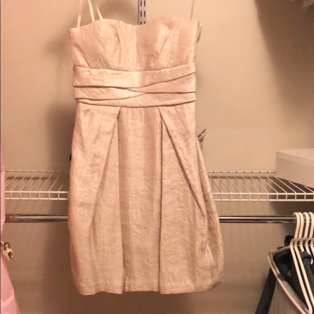 Max & Cleo champaign cocktail dress